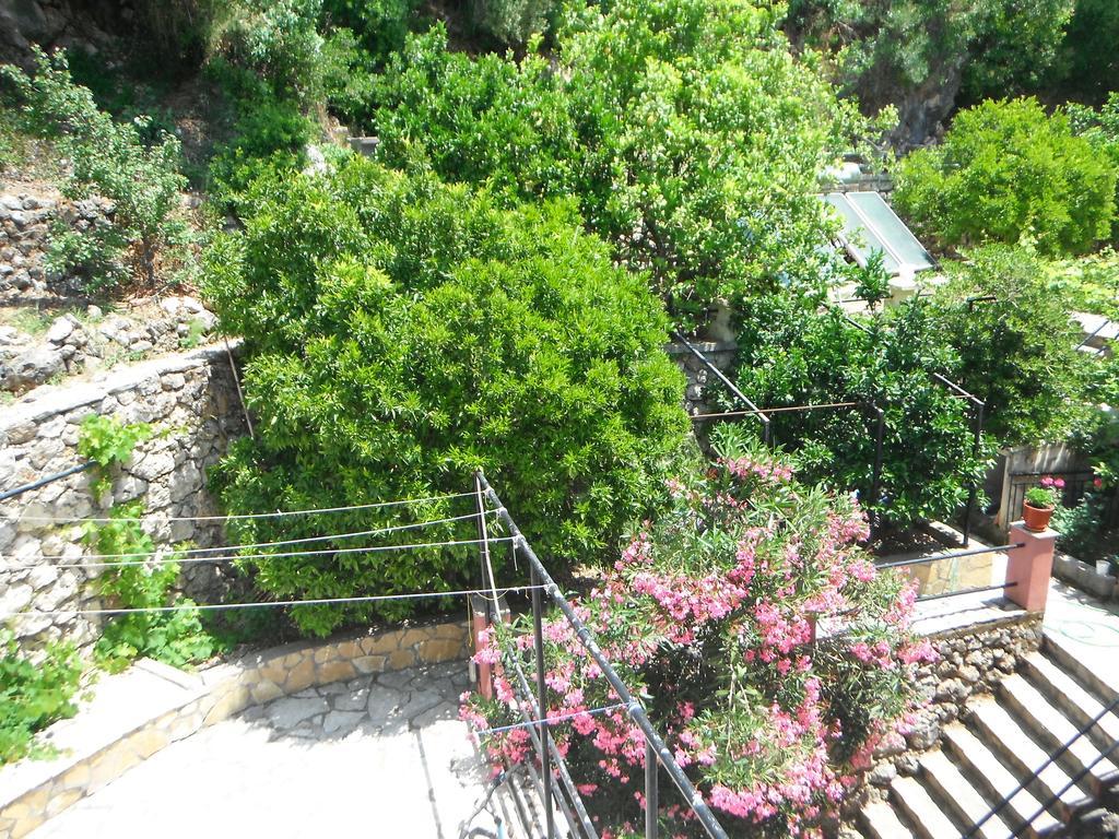 Dimitris Apartments Βασιλική Εξωτερικό φωτογραφία
